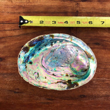 Load image into Gallery viewer, ABALONE SHELL large 5-6 inch (on tripod stand) for smudging, meditation, spells &amp; Manifesting
