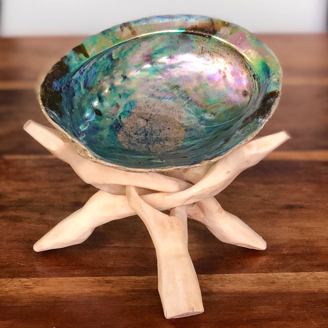 LARGE ABALONE SHELL 5-6 inch (on tripod stand) for smudging, meditation, spells & Manifesting