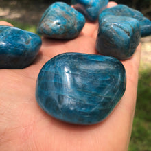 Load image into Gallery viewer, BLUE APATITE 1 pc. (Tumbled/Polished) small gift or stocking stuffer
