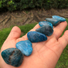Load image into Gallery viewer, BLUE APATITE 1 pc. (Tumbled/Polished) small gift or stocking stuffer
