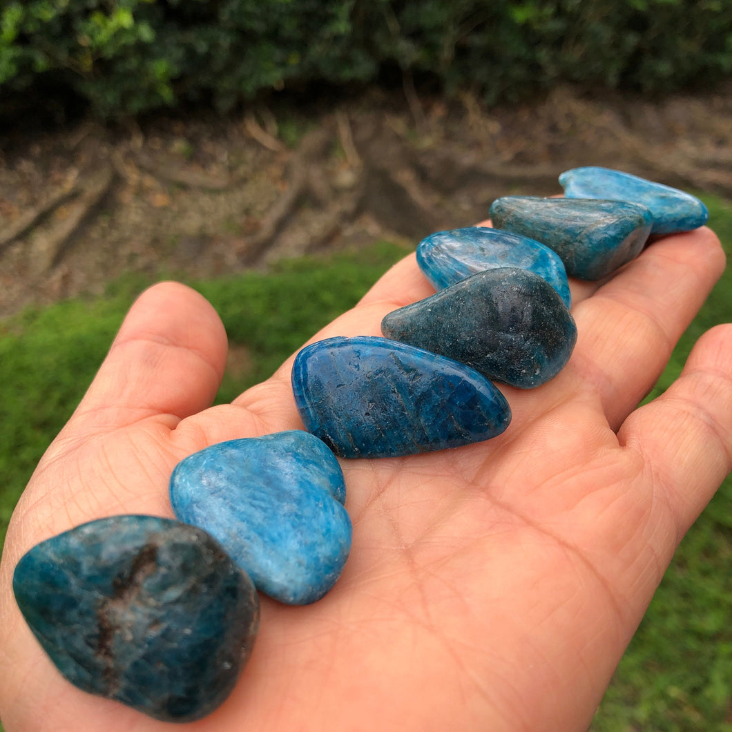 BLUE APATITE 1 pc. (Tumbled/Polished) small gift or stocking stuffer